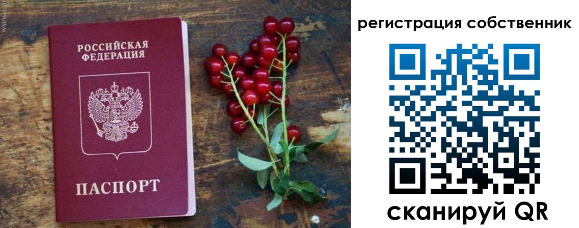 регистрация для дет. сада в Киселёвске